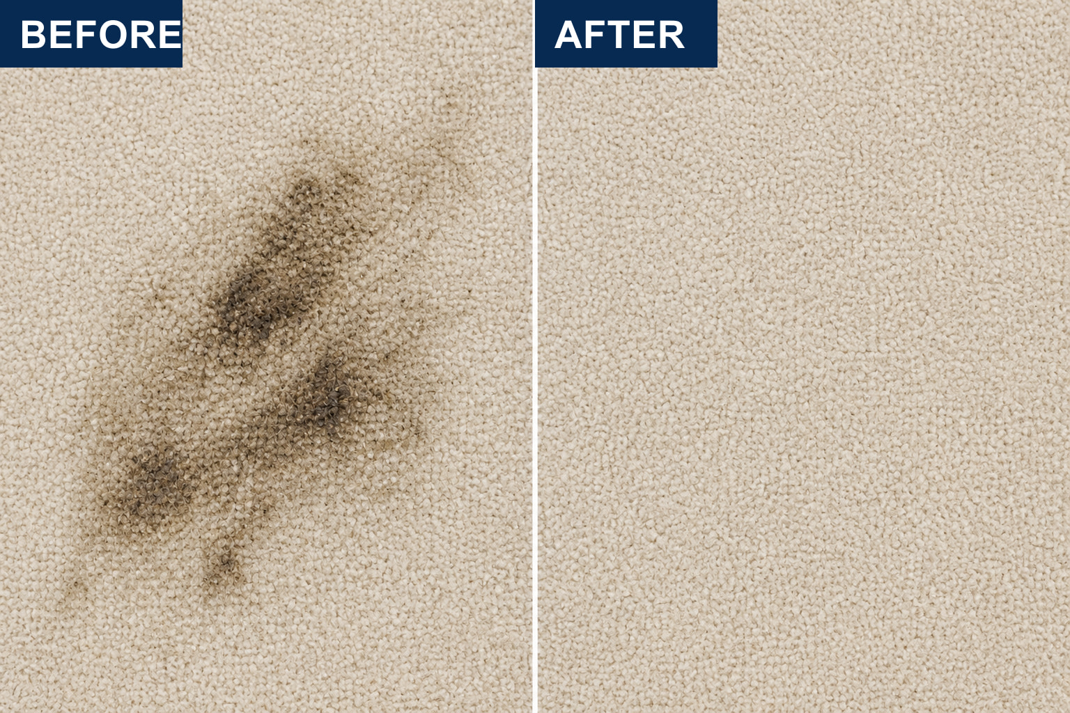 Before and after household accident stain removal on beige carpet with LVX Ultra.